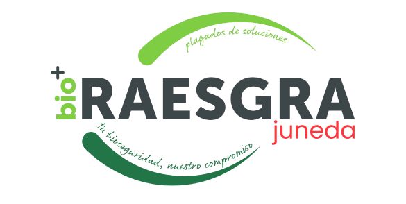 logo-big