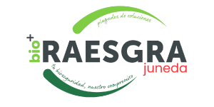 raesgra-logo-x2